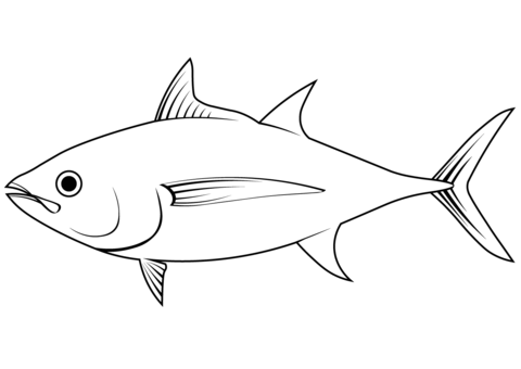 Bigeye Tuna (Thunnus Obesus) Coloring Page